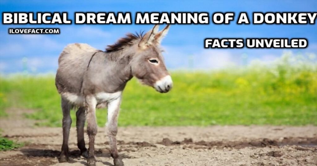 Biblical Dream Meaning of a Donkey Facts Unveiled I Love Facts