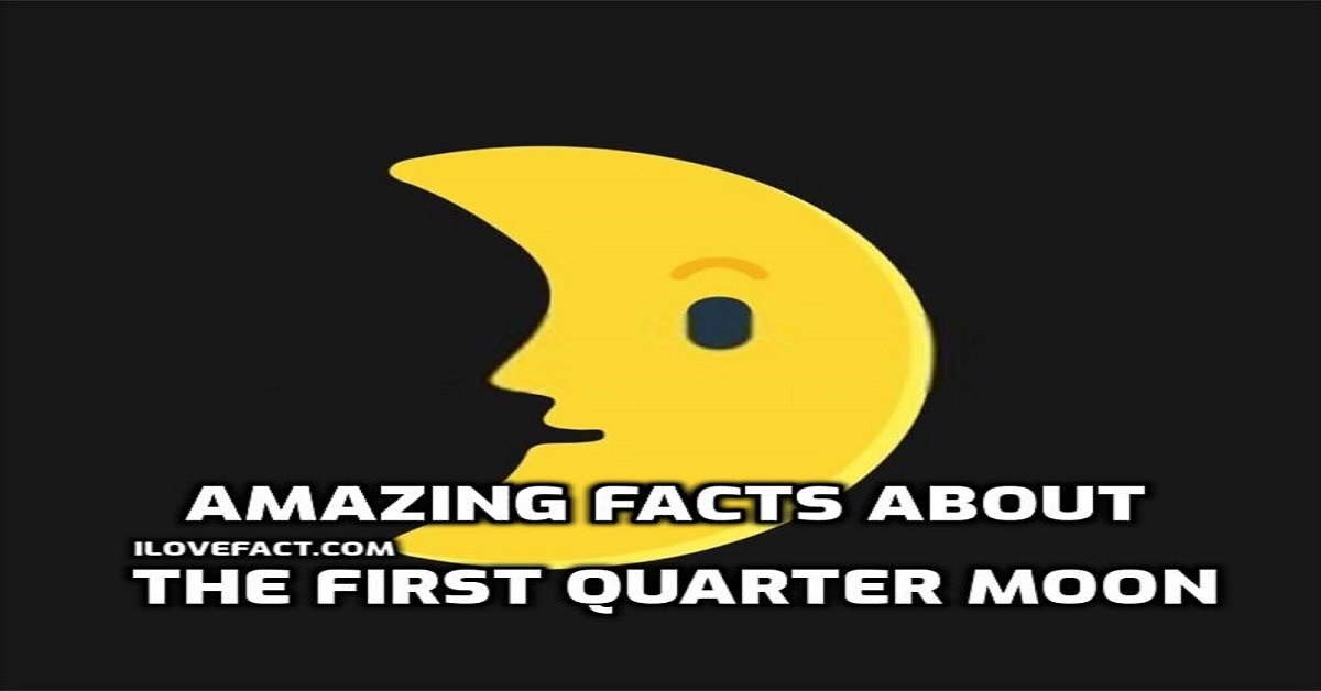 Amazing Facts About The First Quarter Moon I Love Facts